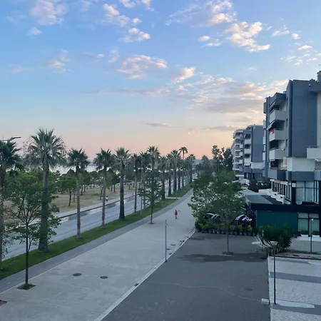 Vlorida *